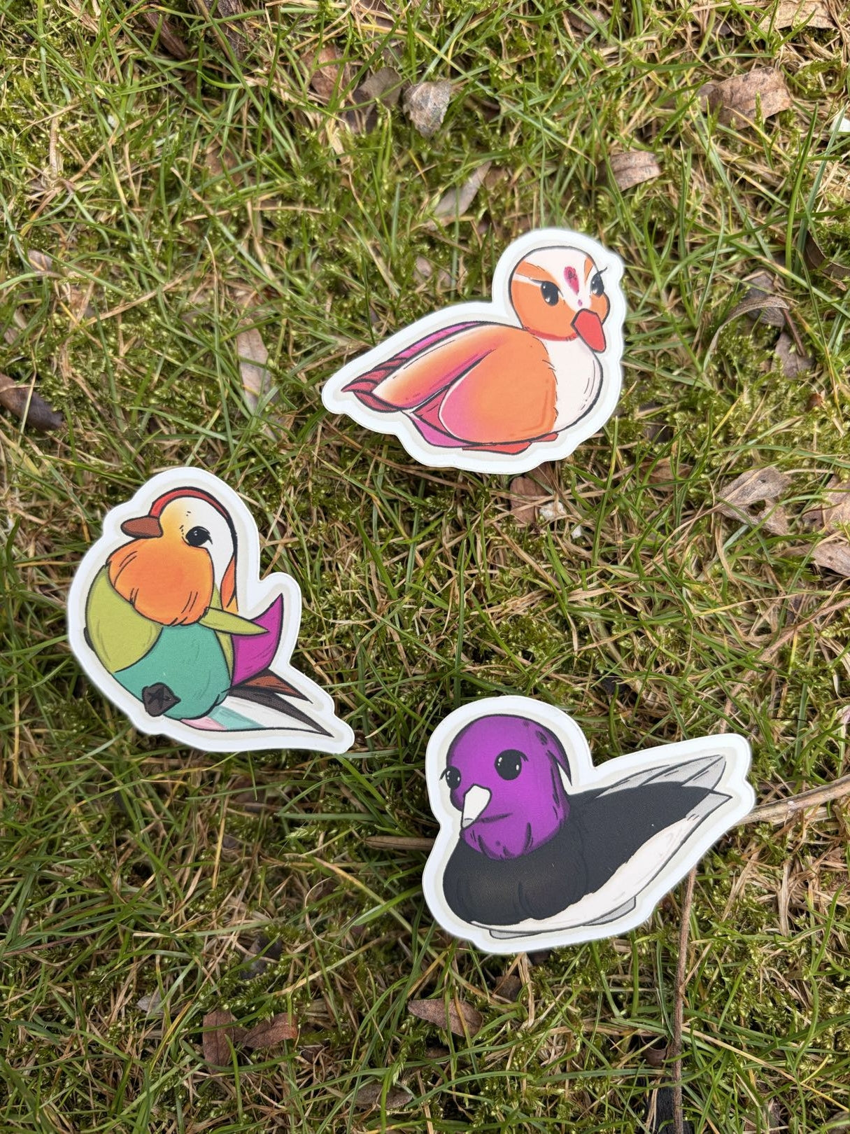 Pride Duck Stickers